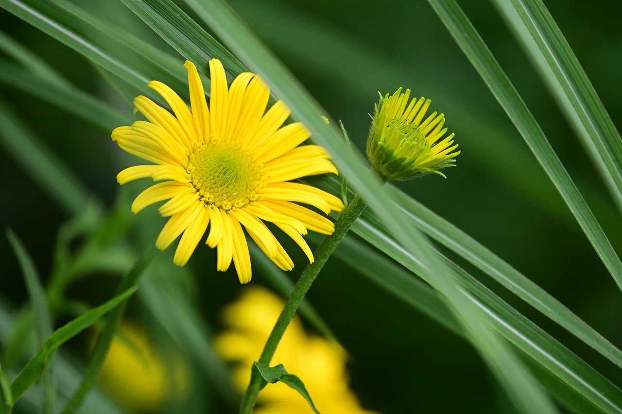 産後の育毛アイテムで安全に髪を育てる方法は？
