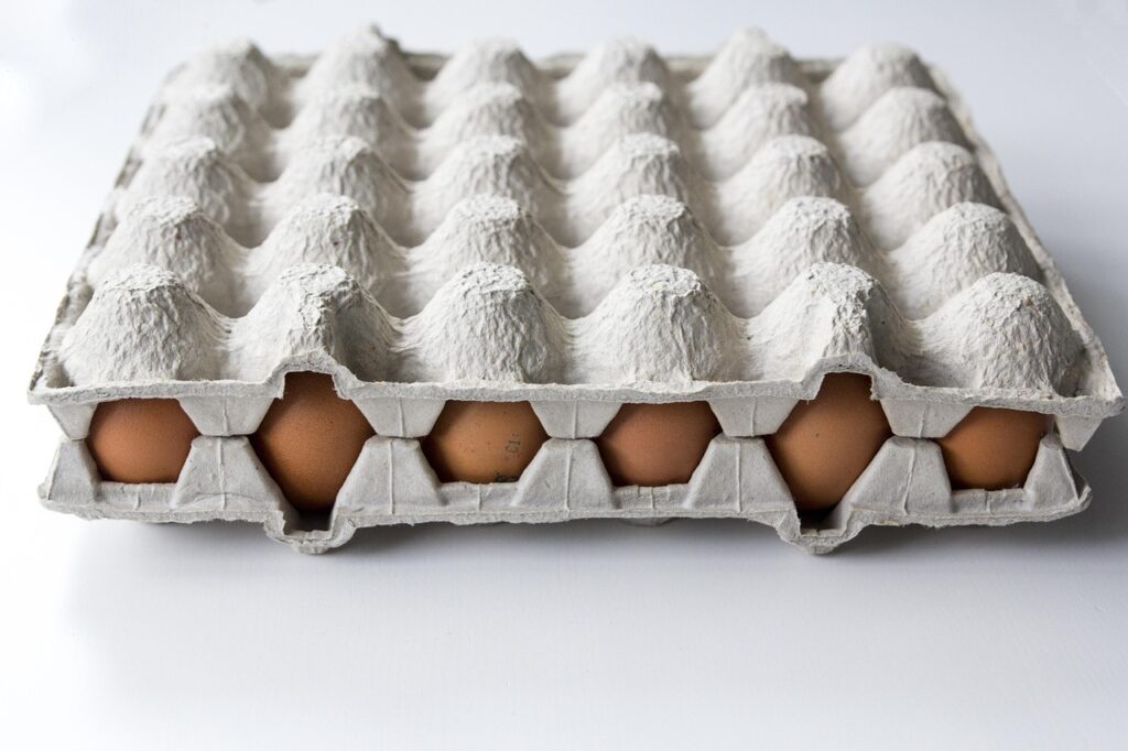 育毛グッズを楽天で購入する際のポイント還元のコツは？