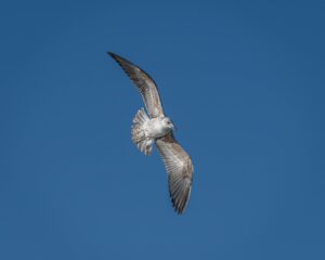 頭皮の匂いをケアするための炭酸の効果は？