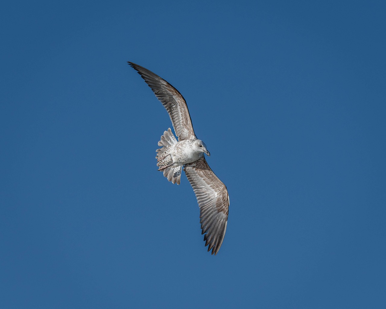 頭皮の匂いをケアするための炭酸の効果は？