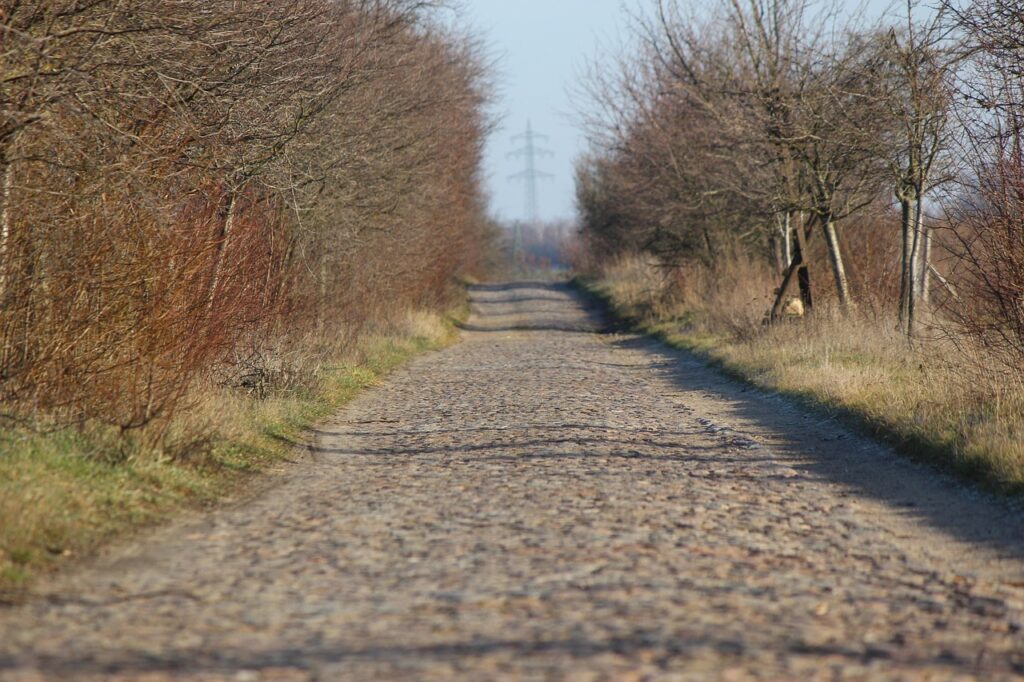 頭皮マッサージャーの使用に関する口コミはどれが参考になる？