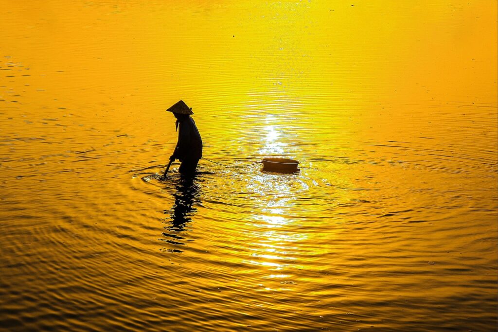 マイクロカレントコームの評判は本当に良いのか？