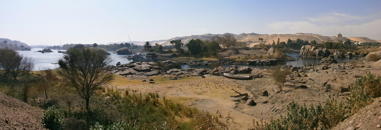 メンズAGAに効果的な育毛トニックの選び方は？