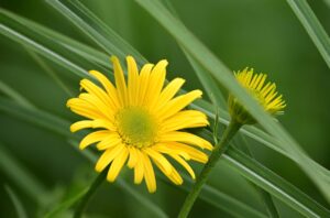 産後の薄毛はいつまで続くのか？