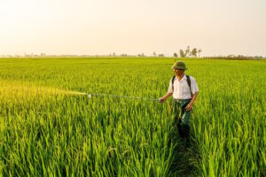 育毛剤の頭皮に対するパッチテストはどう行うべき？