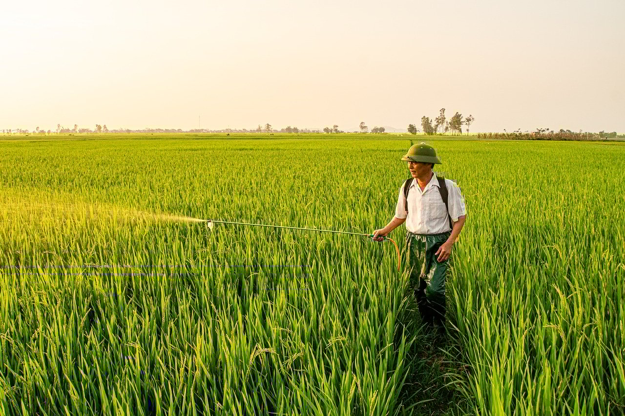 育毛剤の頭皮に対するパッチテストはどう行うべき？