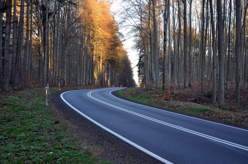 育毛アイテムの選び方で知っておくべき順番の正解は？