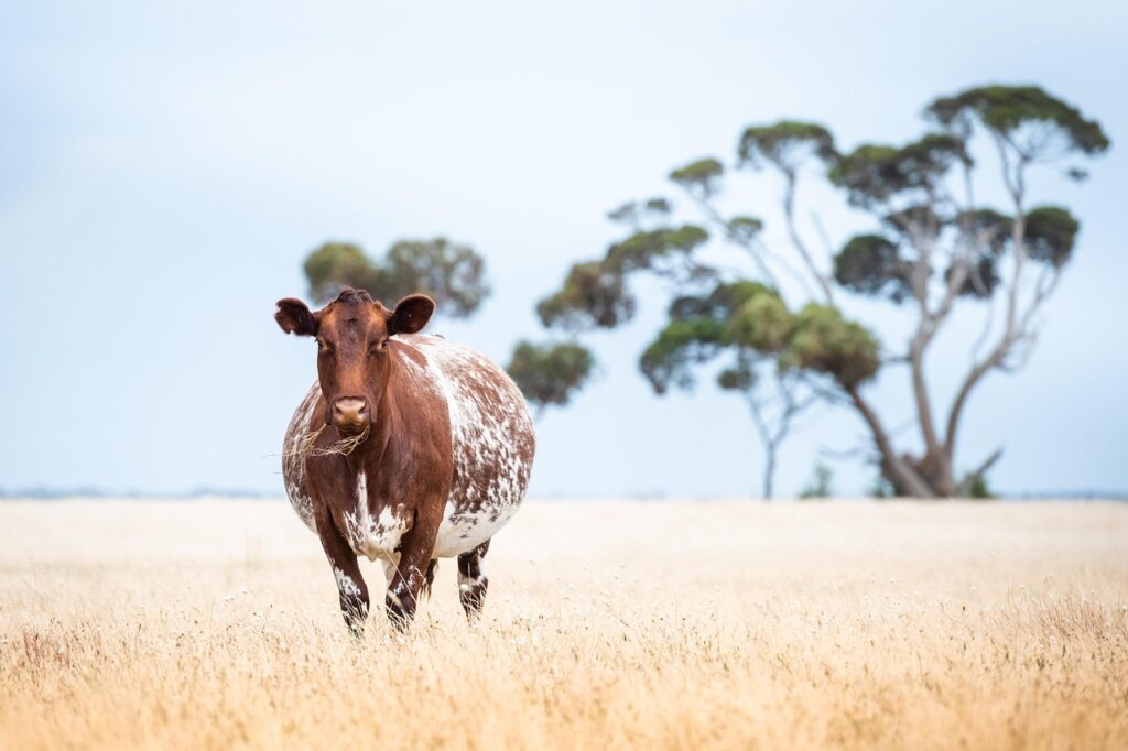 妊娠中に気をつけるべき安全な生活習慣は？