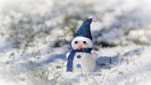 育毛アイテムのプロが教えるおすすめ商品とは？