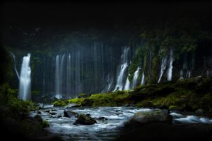 育毛サプリの海外製は本当に効果があるのか？