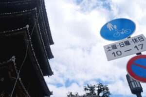 育毛サプリ日本製の効果とおすすめ商品は？