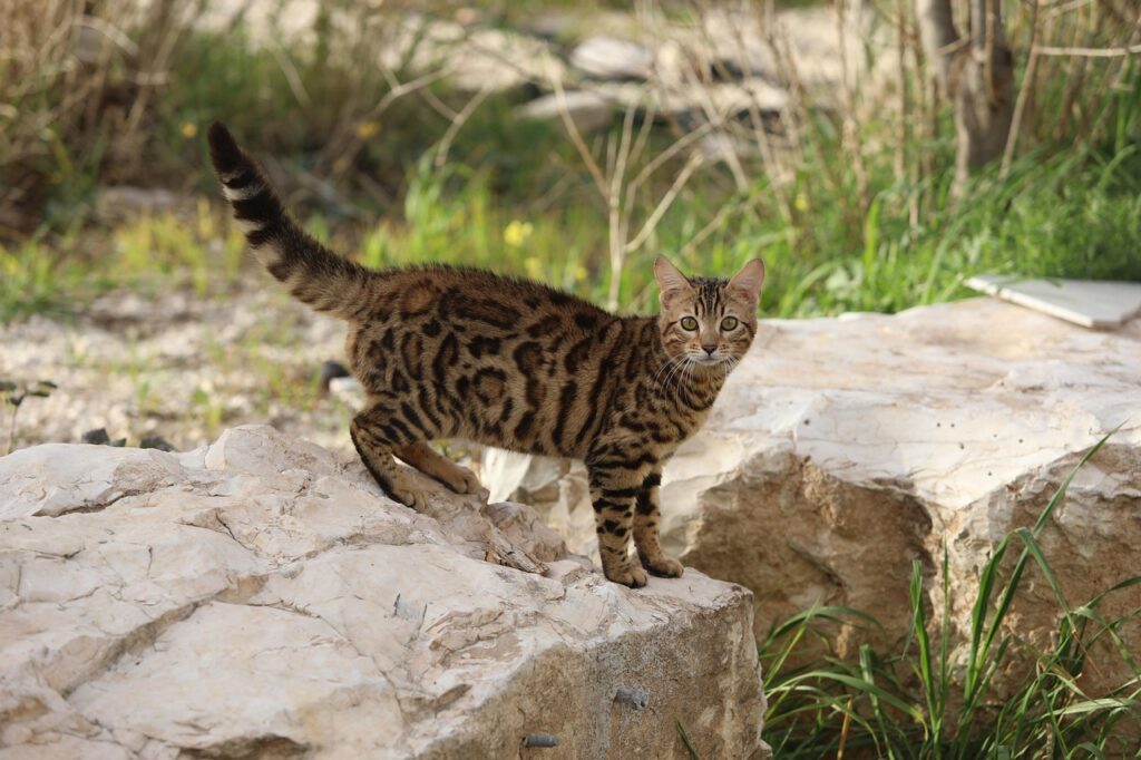 育毛サプリの失敗例から学ぶ成功への道とは？