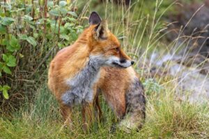 育毛サプリをやめたら髪の毛にどんな影響があるの？