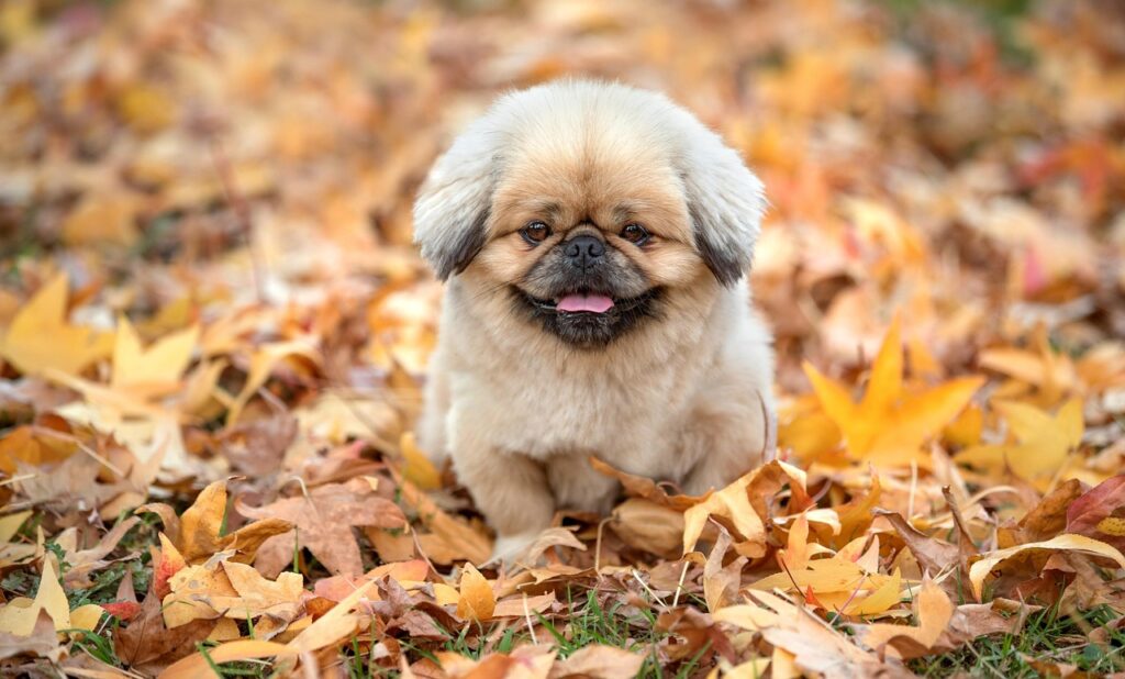 費用対効果を最大化するための戦略は？