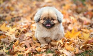 費用対効果を最大化するための戦略は？