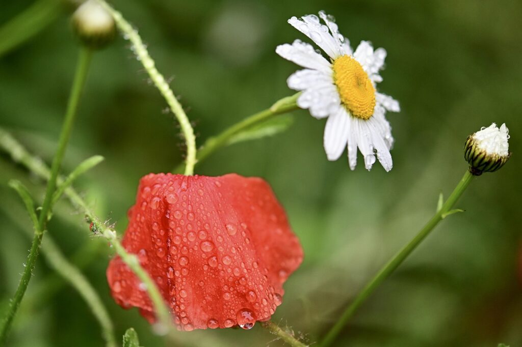 効果がなかった理由を徹底解説しますか？