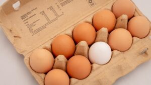 育毛サプリは割高と安価、どちらを選ぶべき？違いは何？