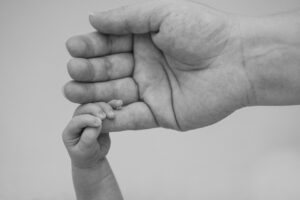 育毛サプリは毛母細胞にどのように影響する？研究結果を徹底解説！